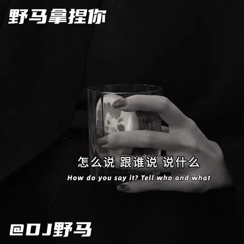 天空(咚鼓版)-DJ野馬