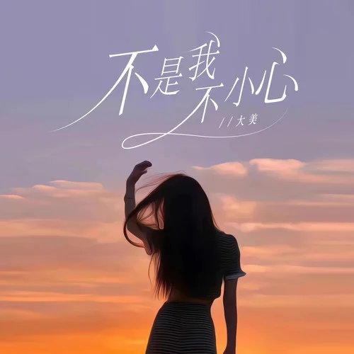 不是我不小心（女版）-大美