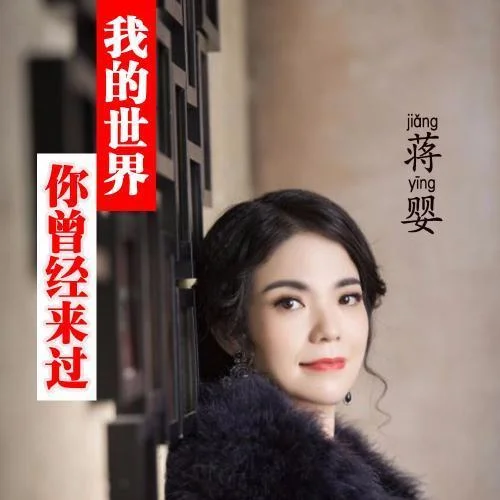 我的世界你曾經(jīng)來過-蔣嬰