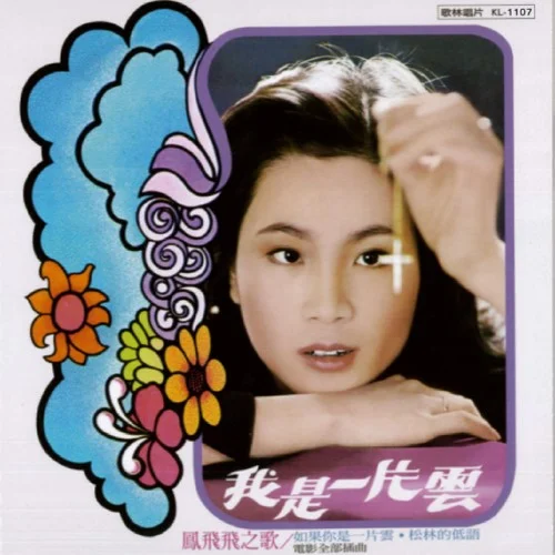 不要回頭看-鳳飛飛