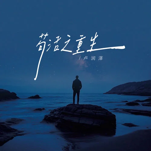 苟活之重生 (伴奏)-卢润泽