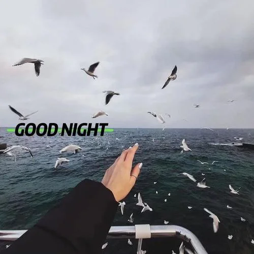 Guitar Type (remix: DNY|Nail Yanis)-Tình yêu và