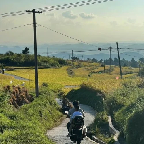 請不要擔心俺們屯-困困了魚