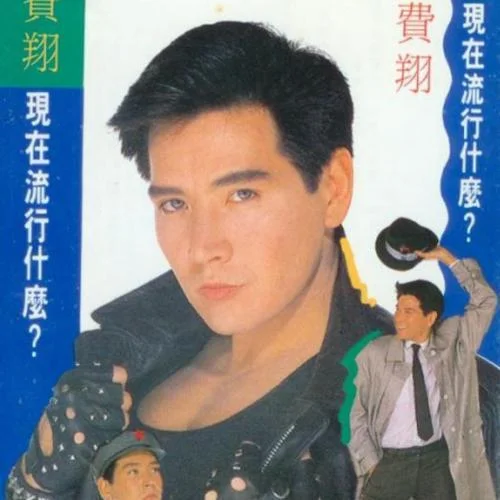 夜的櫥窗-費(fèi)翔