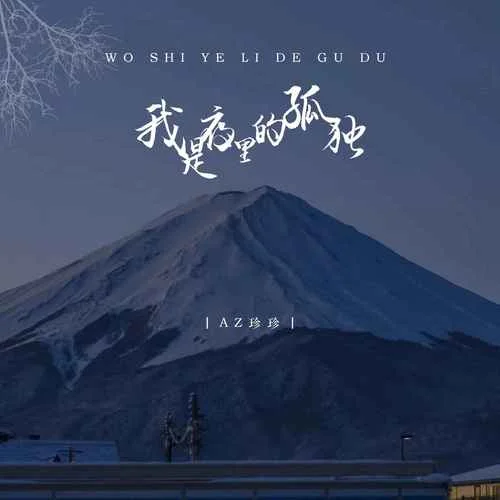 我是夜里的孤獨(dú)-AZ珍珍