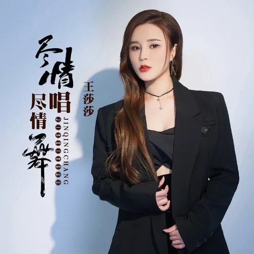 盡情唱盡情舞(DJ何鵬版)-王莎莎