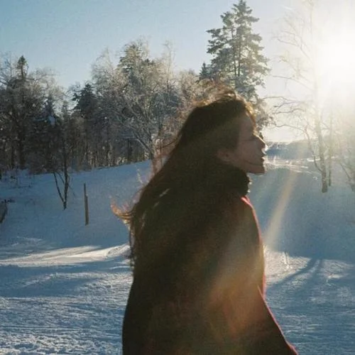 風(fēng)輕輕說別追問太多 (樹的花語(yǔ))-大大頭針