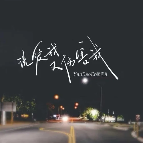 說愛我又傷害我 (節(jié)奏版)-燕寶兒