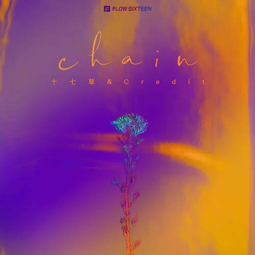Chain-十七草&Credit