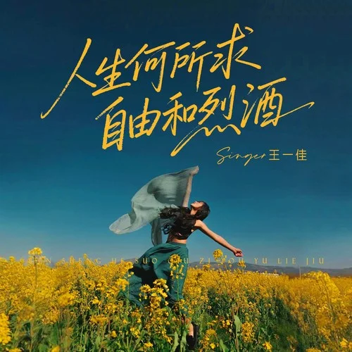 人生何所求自由和烈酒-王一佳