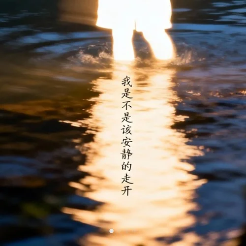 我是不是該安靜的走開 (R&B)-大頭釗