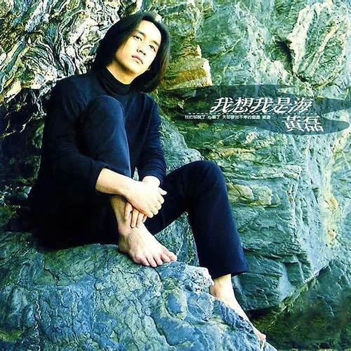 我想我是海-黄磊