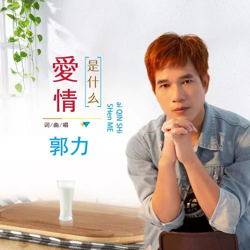 愛情是什么-郭力
