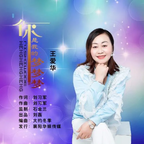 你是我的夢夢夢-王愛華