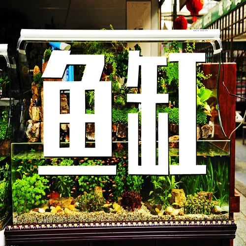 魚缸-浦東老農泯