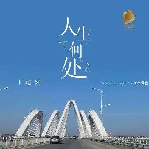 人生何處 (DJ九零版)-王超然