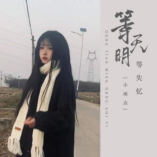等天明等失憶(DJ默涵版)-小雨點