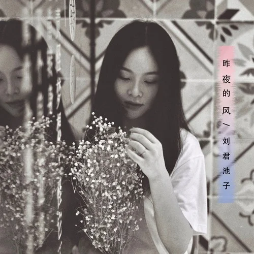 昨夜的風-劉君池子