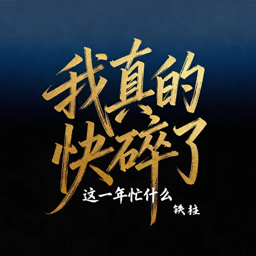 我真的快碎了（這一年忙什么） (伴奏)-鐵柱