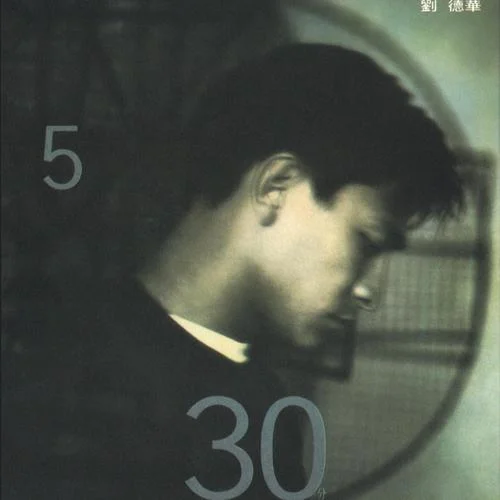 誰(shuí)人知-劉德華