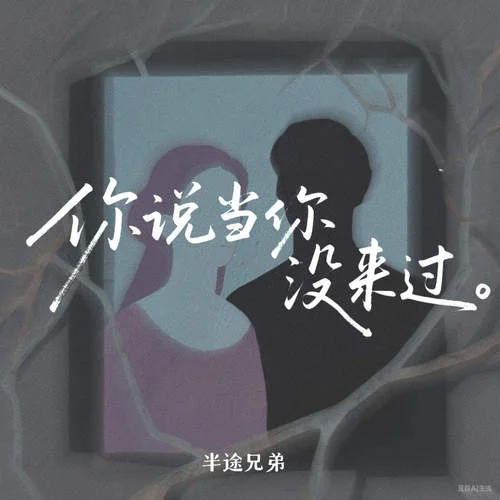 你說當你沒來過 (深情版)-半途兄弟
