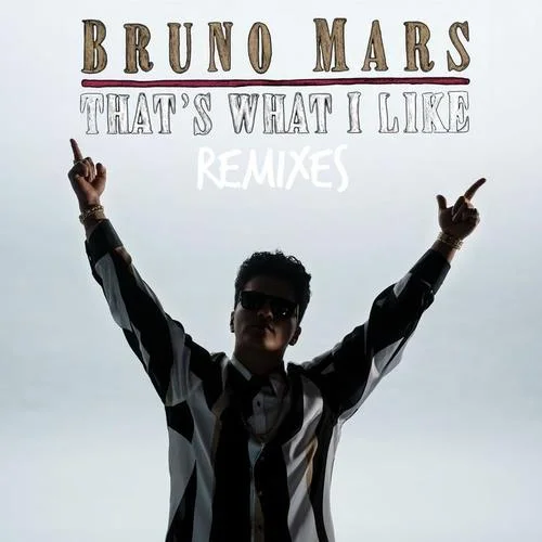 That’s What I Like(Alan Walker Remix)-Bruno Mars