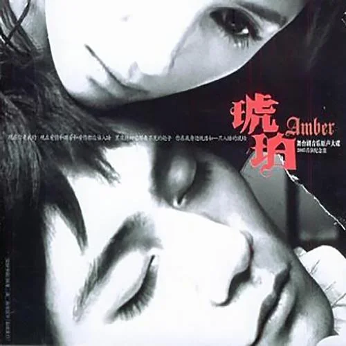 琥珀-孟庭葦