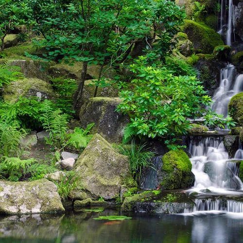 清早起來(lái)去拾糞-馬塞渡