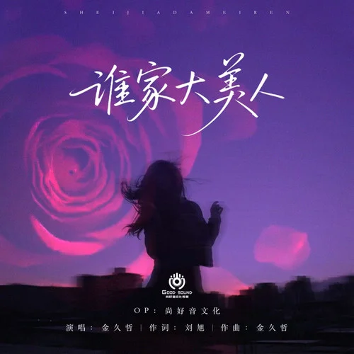 谁家大美人 (DJ豪大大版)-金久哲