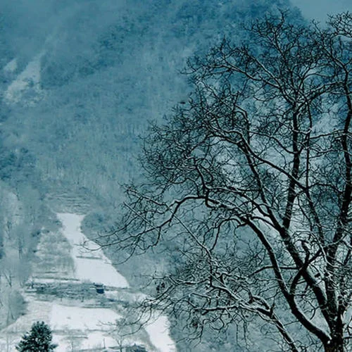 Thursday’s Child Has Far To Go-邱朋峻