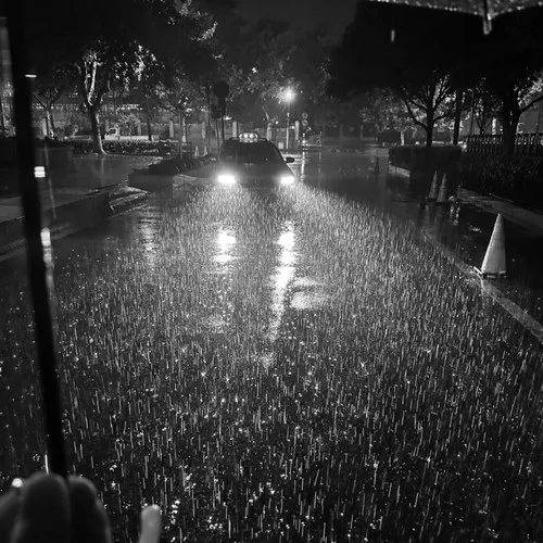 无情的雨 无情的你-大头针