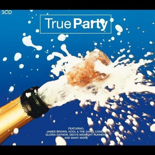 I Will Survive-Various Artists