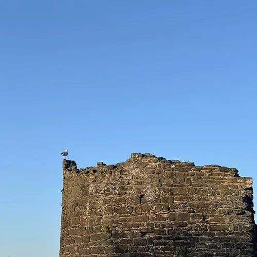 橘子花火-盤尼西林樂隊