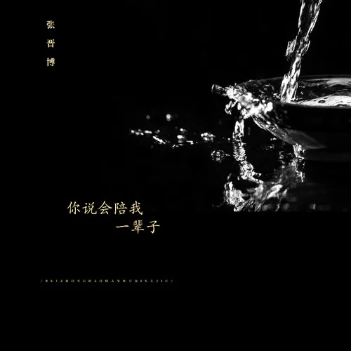 你說(shuō)會(huì)陪我一輩子(DJR7版)-張晉博