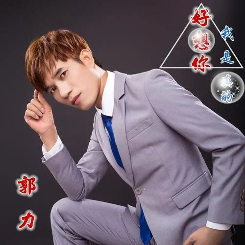 我是真的好想你-郭力