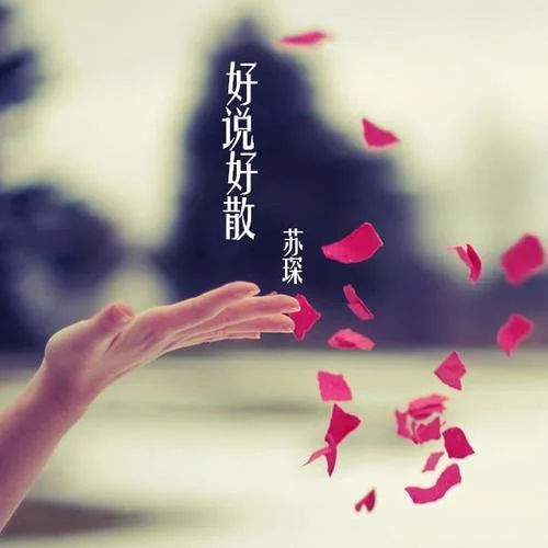 最后一首情歌-苏琛