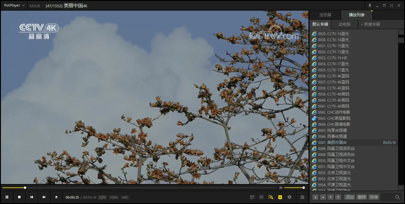 PotPlayer v1.7.22619绿色版