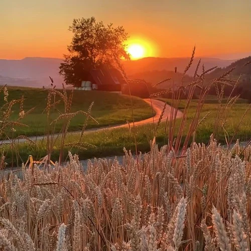 The Cure+One Last Time+珊瑚海 (大串燒)-DJMOUN