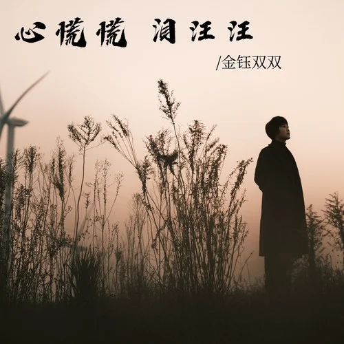 心慌慌 淚汪汪-金鈺雙雙