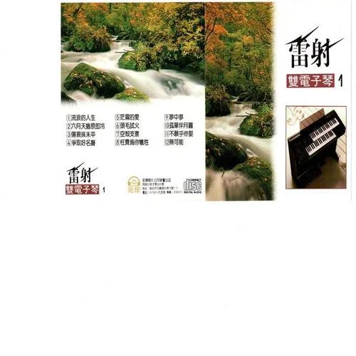 流浪的人生-雙電子琴