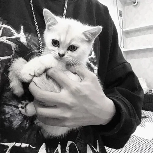 我們倆 (DJ版)-蘇鶴