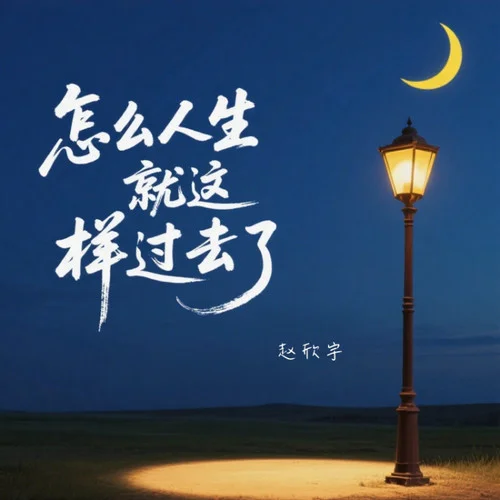 怎么人生就这样过去了-赵欣宇