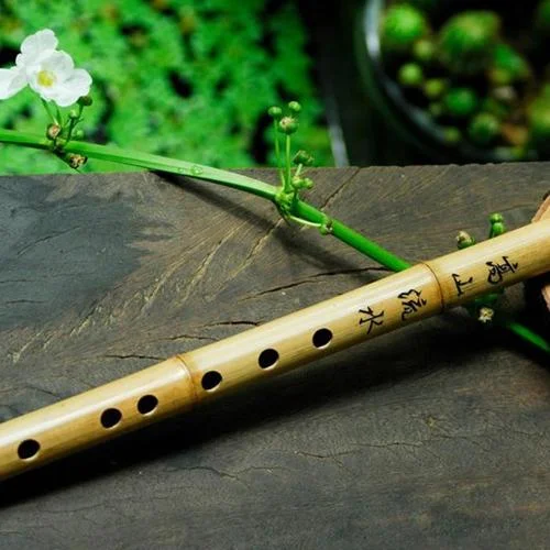 Phong kh?i sáo trúc-ThuHangDZ