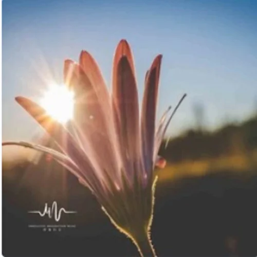 你是風(fēng)兒我是沙 (笛子版)-靈聲笛韻