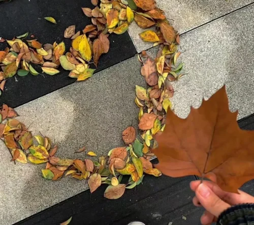 我的无力成为了我的败笔 (DJ旋律版)-DJ小阿星