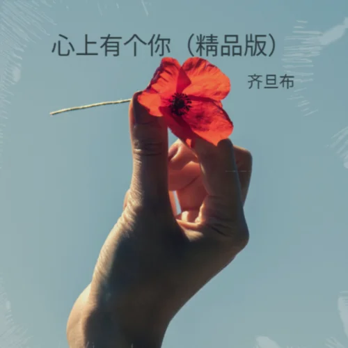 心上有個你（女版）-王思雨