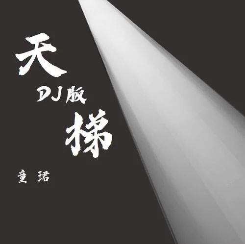 天梯(DJ版)-童珺
