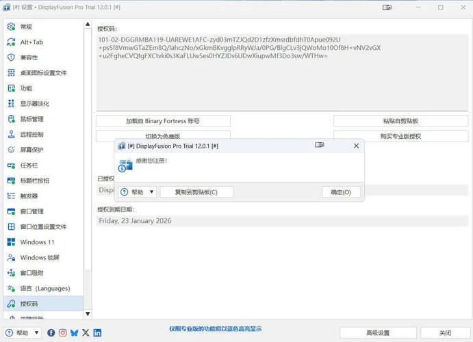 多显示器管理DisplayFusion Pro v12.0.1高级版