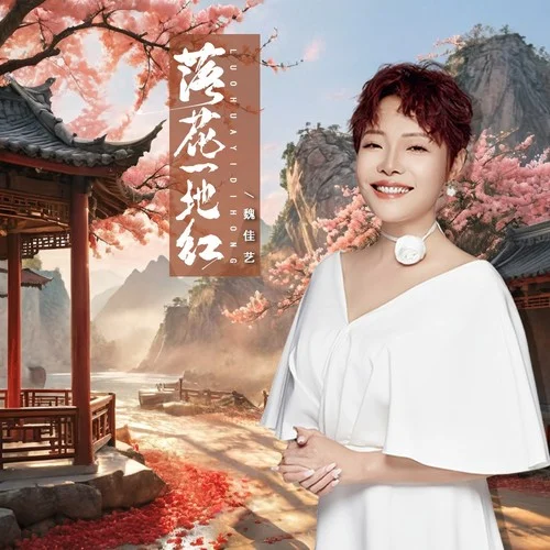 落花一地紅(DJ京仔版)-魏佳藝