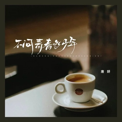 不问青春多少年-唐妍